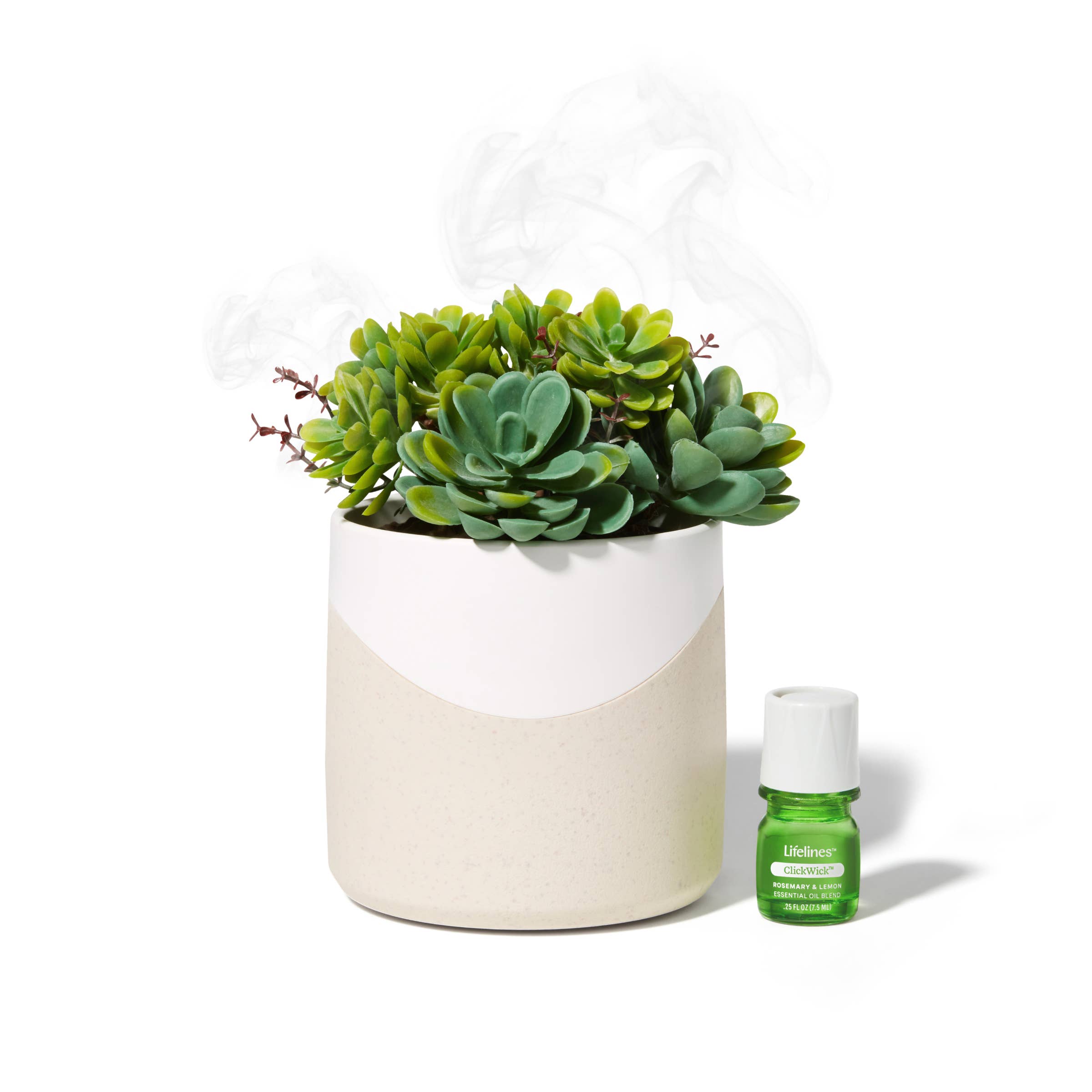doterra succulent diffuser Lifelines Plant Diffuser Succulent