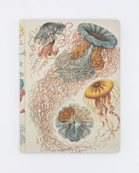 Journal (Hardcover) - Haeckel Jellyfish