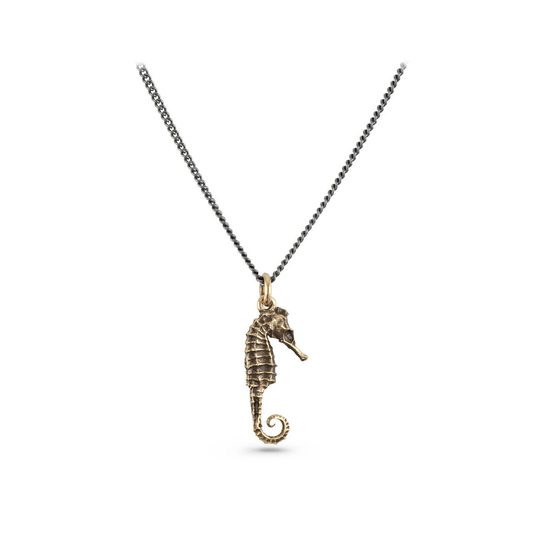 Jewelry - Seahorse Necklace (Bronze)