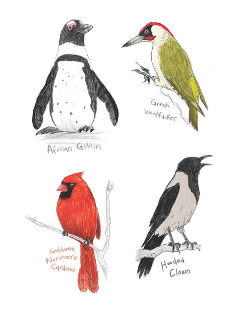 Sticker Book - Field Guide to Dumb Birds