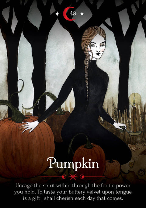 Seasons of the Witch: Samhain Oracle DELUXE EDITION by Lorriane Anderson: Flashcards; 184 pages / English