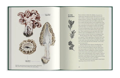 Book (Hardcover) - Pacific Northwest Mushroom Foraging