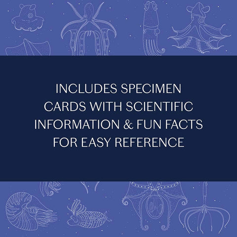 Book (Hardcover) - Sea Wonders