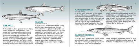 Book (Paperback) - Pacific Coast Fish Finder 2nd Ed
