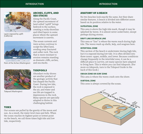 Book (Paperback) - Coastal Life of the Pacific Coast Quick Guide