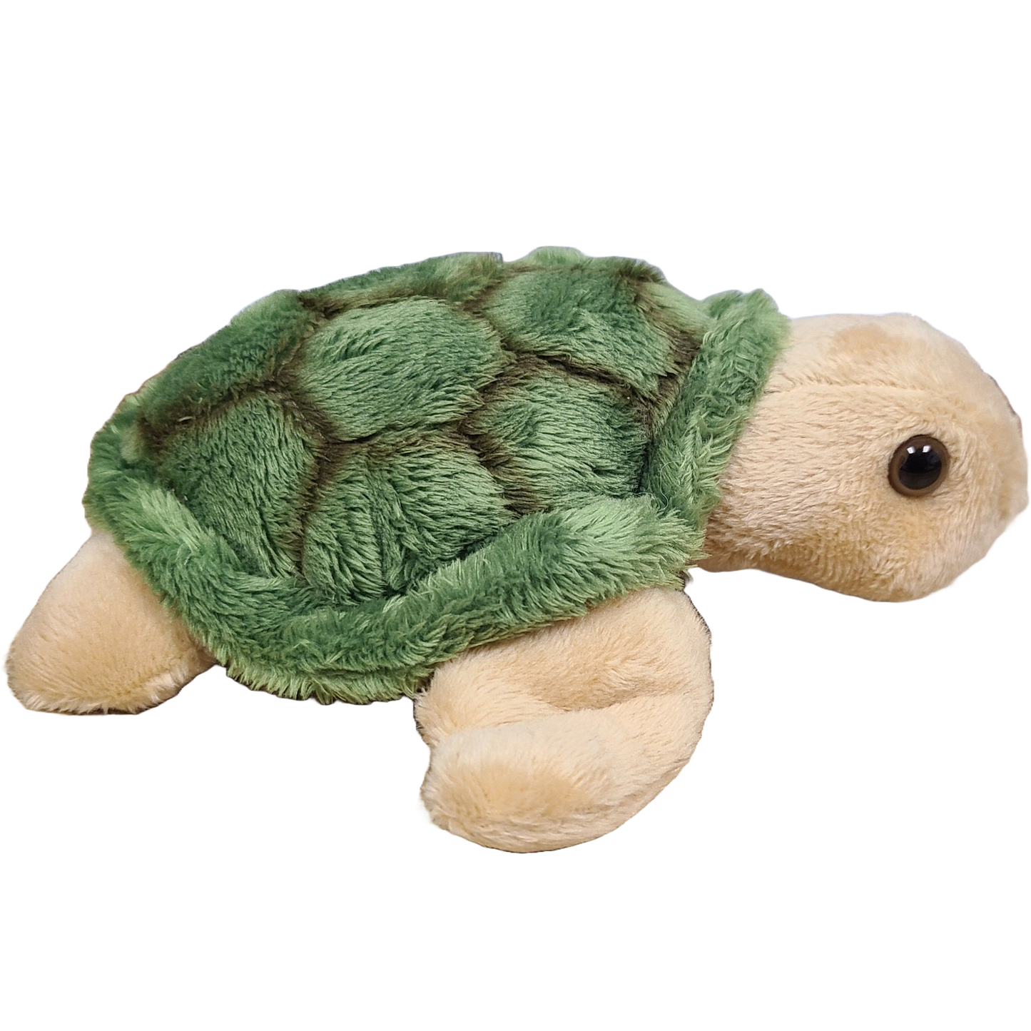 Stuffed Animal - Charlie the Canned Sea Turtle