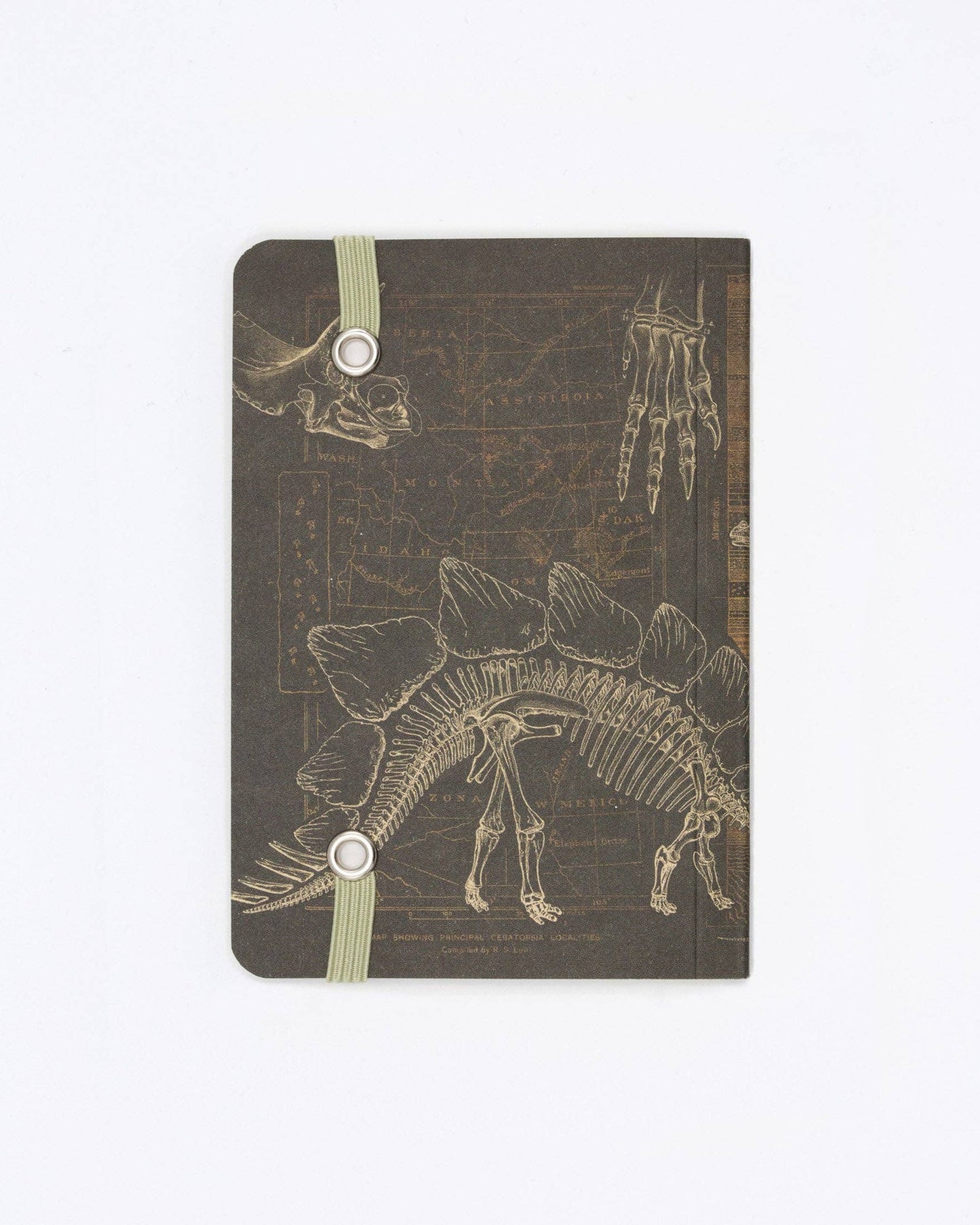 Journal (Softcover) - Dinosaur Bones Observation