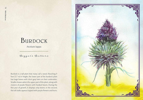 Book (Hardcover) - Wild Medicine: Illustrated Guide to the Magick of Herbs