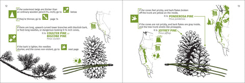Book (Paperback) - Pacific Coast Tree Finder