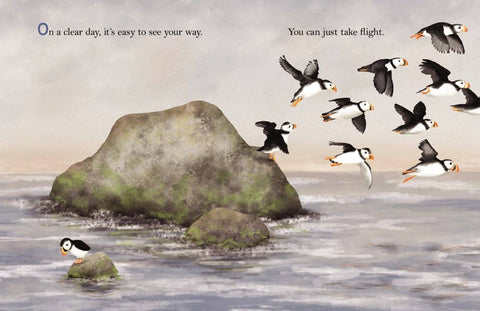 Book (Hardcover) - When the Fog Rolls In