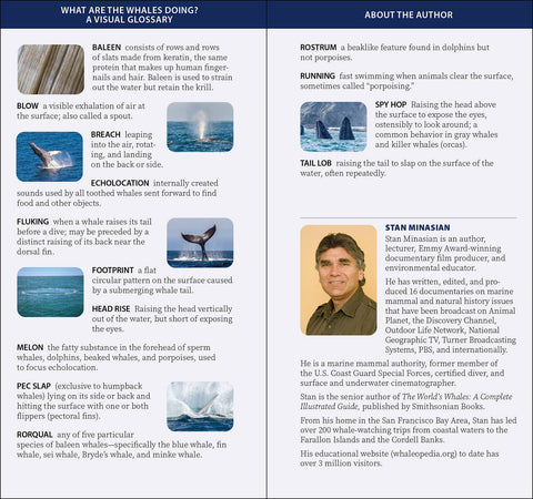 Book (Paperback) - Whale-Watching on the Pacific Coast Quick Guide