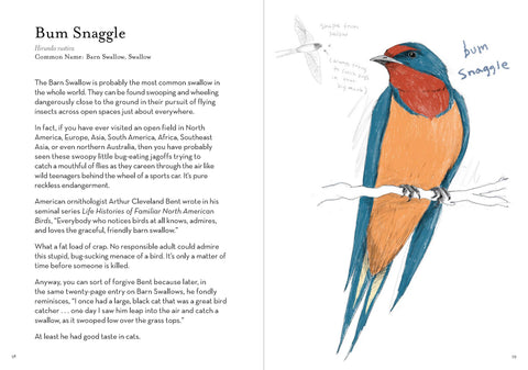 Book (Paperback) - Dumb Birds Field Guide to the Worst Birds Ever