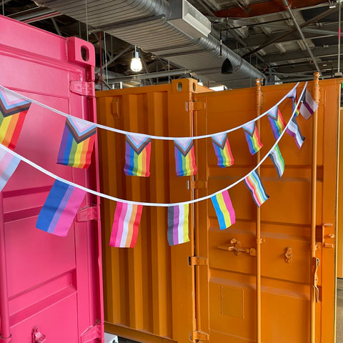 Flag Bunting - Progress Pride Flag