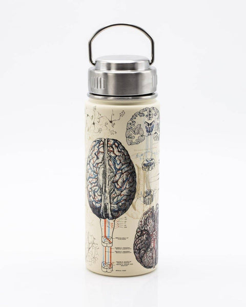 Water Bottle (18oz) - Brain & Neuroscience Stainless Steel