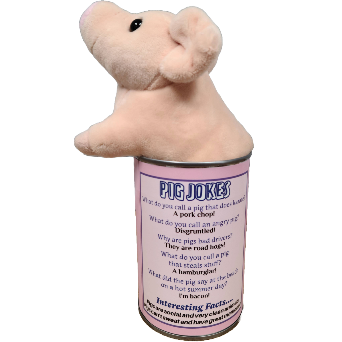 Stuffed Animal - Cupcake the Canned Pig