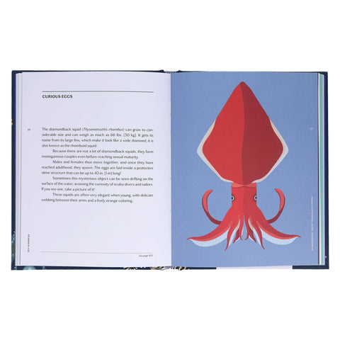 Book (Hardcover) - Sea Wonders