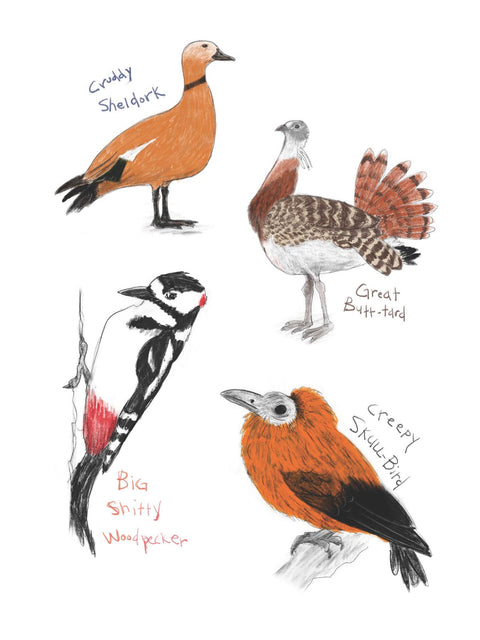Sticker Book - Field Guide to Dumb Birds