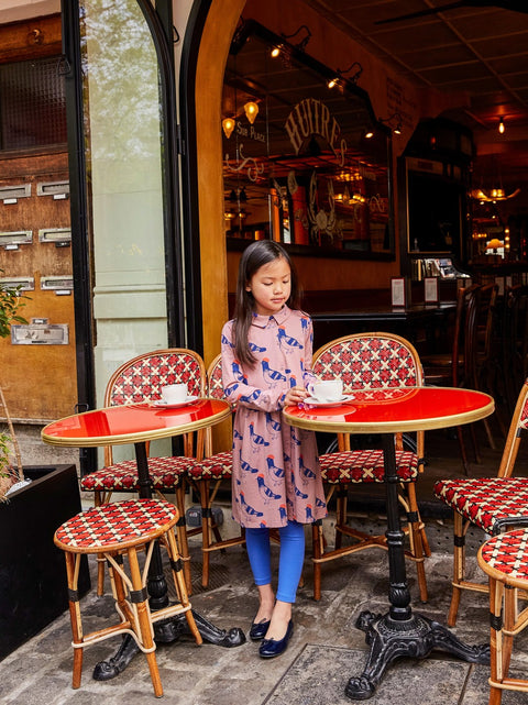 Collared Long Sleeve Shirt Dress - Fashion Pigeon