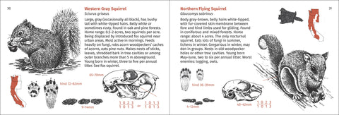 Book (Paperback) - Pacific Coast Mammal Finder 2nd Ed