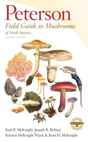 Book (Paperback) - Peterson Field Guide to Mushrooms of North America