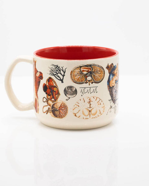 Mug (Ceramic) - Anatomy: Vascular