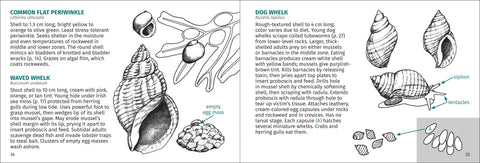 Book (Paperback) - Life on Intertidal Rocks 2nd Edition