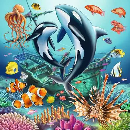 Puzzle Set - Underwater Splendor (3 x 49pc)