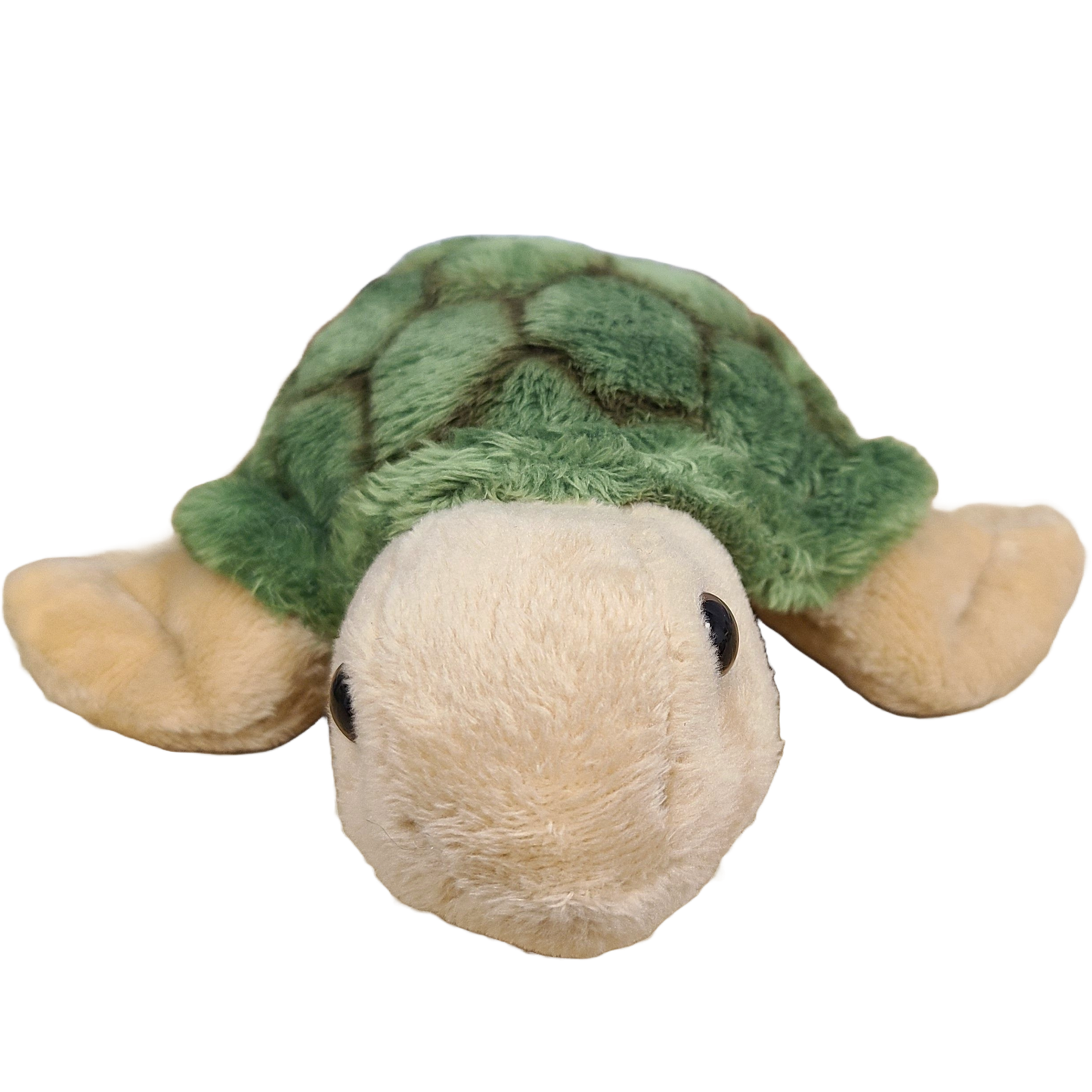 Stuffed Animal - Charlie the Canned Sea Turtle