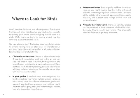 Book (Paperback) - Dumb Birds Field Guide to the Worst Birds Ever