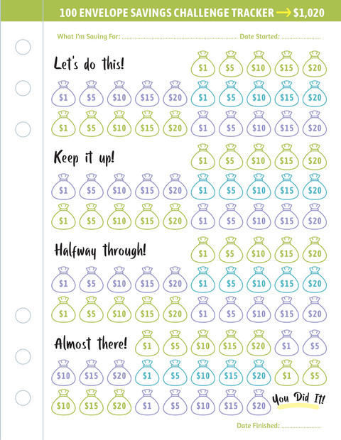 Binder - My 100 Envelope Savings Challenge