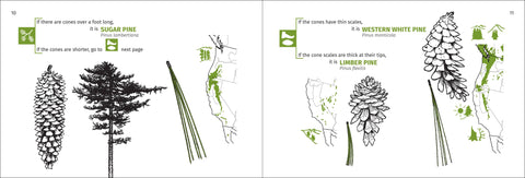 Book (Paperback) - Pacific Coast Tree Finder