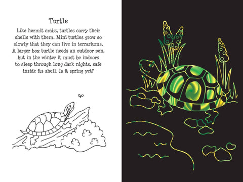 Scratch & Sketch - Pet Shop