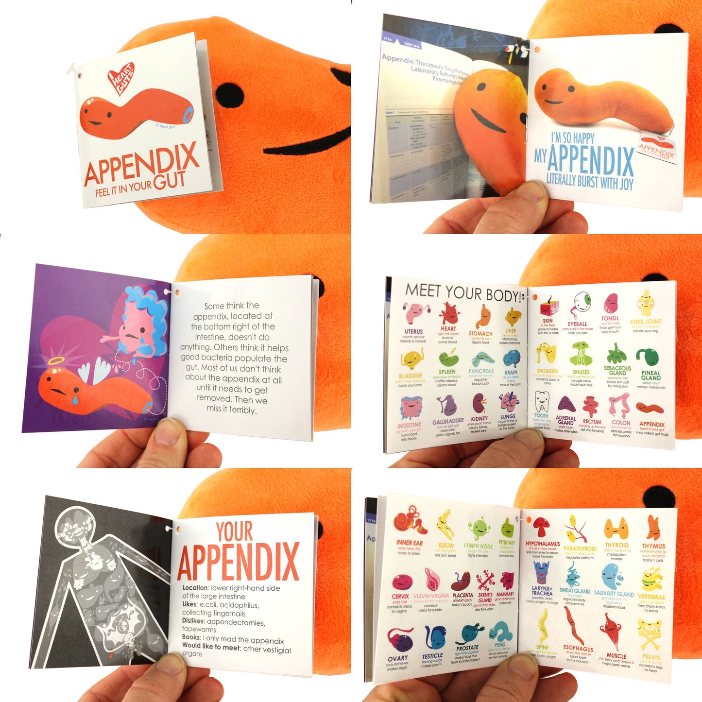 Stuffed Animal - Appendix: Feel it in Your Gut