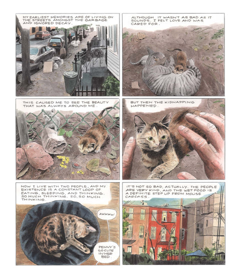 Book (Paperback) - Penny (Graphic Novel)