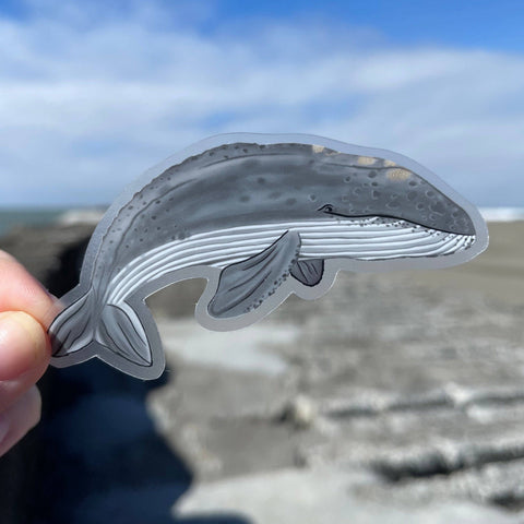 Sticker - Grey Whale (Clear)