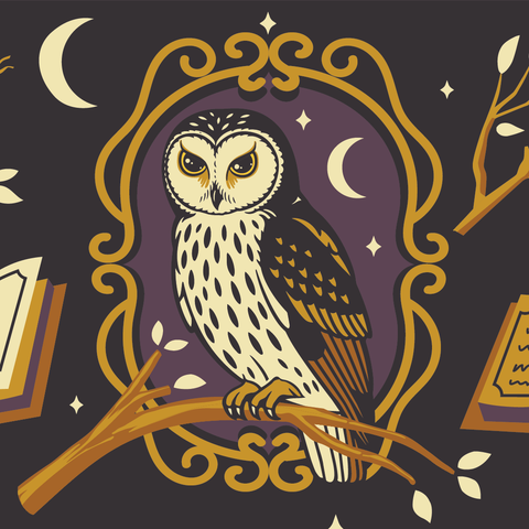 Crew Socks - Supervisor Owlfred