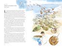 Book (Hardcover) - Around the Ocean in 80 Fish and other Sea Life