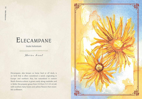 Book (Hardcover) - Wild Medicine: Illustrated Guide to the Magick of Herbs