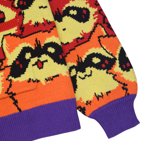 Cardigan - Rainbow Raccoon