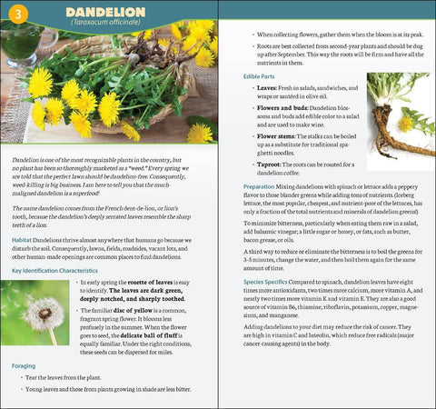 Book (Paperback) - Foraging in North America Quick Guide