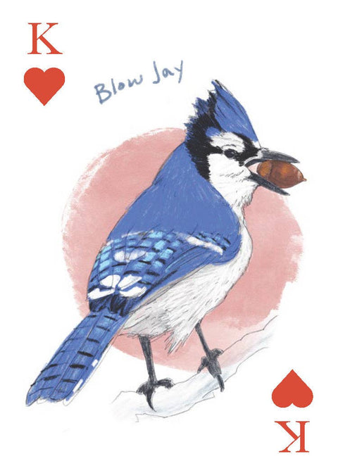 Playing Cards - Field Guide to Dumb Birds