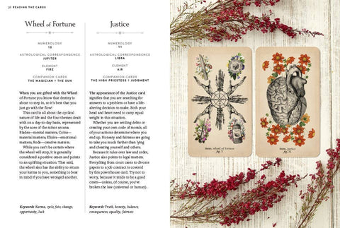 Tarot Cards - Antique Anatomy