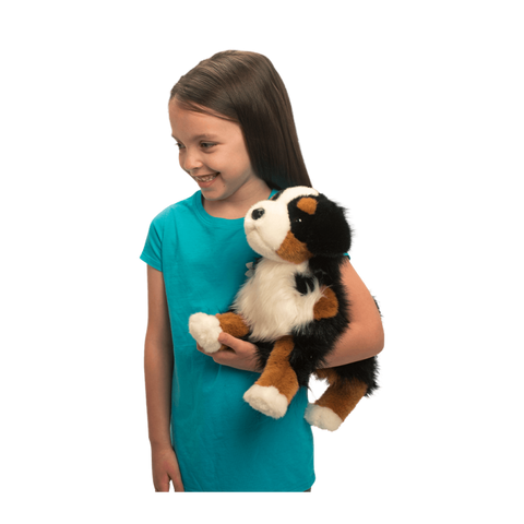 Stuffed Animal - Trevor Bernese Mountain Dog