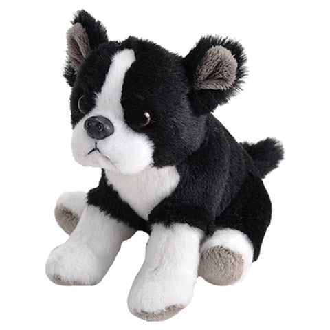 Stuffed Animal - Pocketkin Boston Terrier Dog