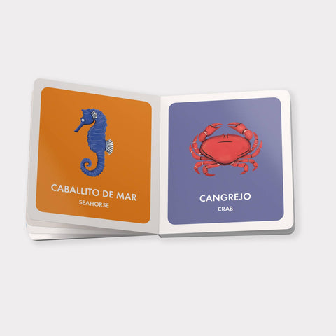 Board Books - My First Bilingual Library: A Spanish-English Set