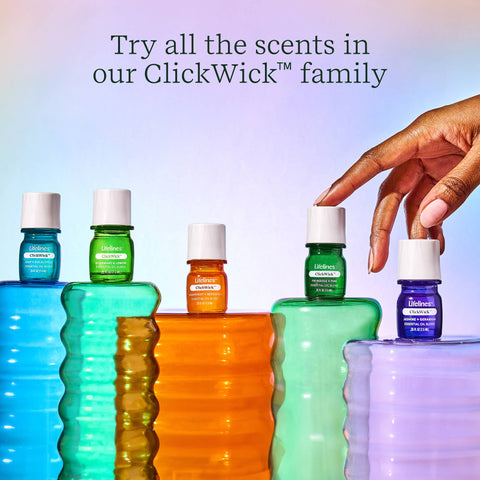 Diffuser - Succulent Plant Two Toned