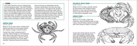 Book (Paperback) - Life on Intertidal Rocks 2nd Edition