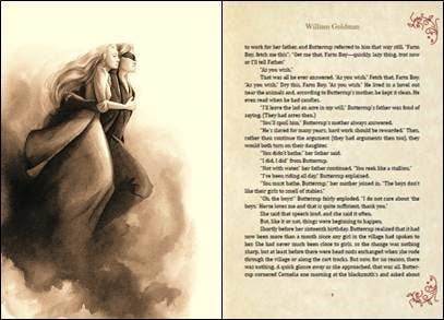 Book 9Hardcover) - The Princess Bride Deluxe Edition : William Goldman