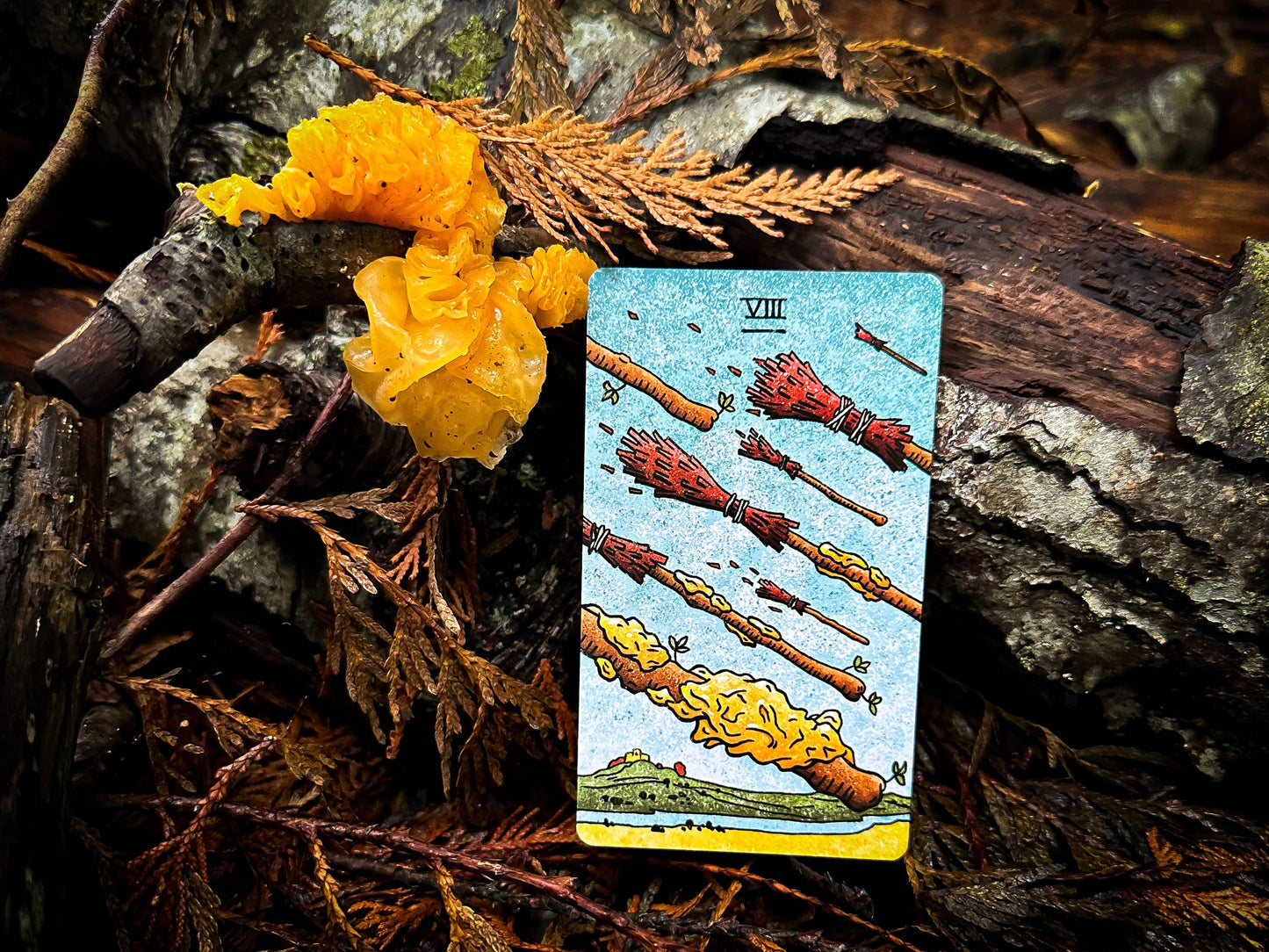 Tarot Cards - The Mushroom Hunter's Arcanum