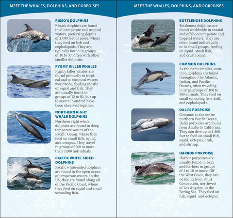 Book (Paperback) - Whale-Watching on the Pacific Coast Quick Guide